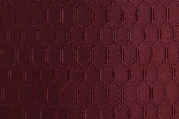 ФЬОРЕНТИНА 1494