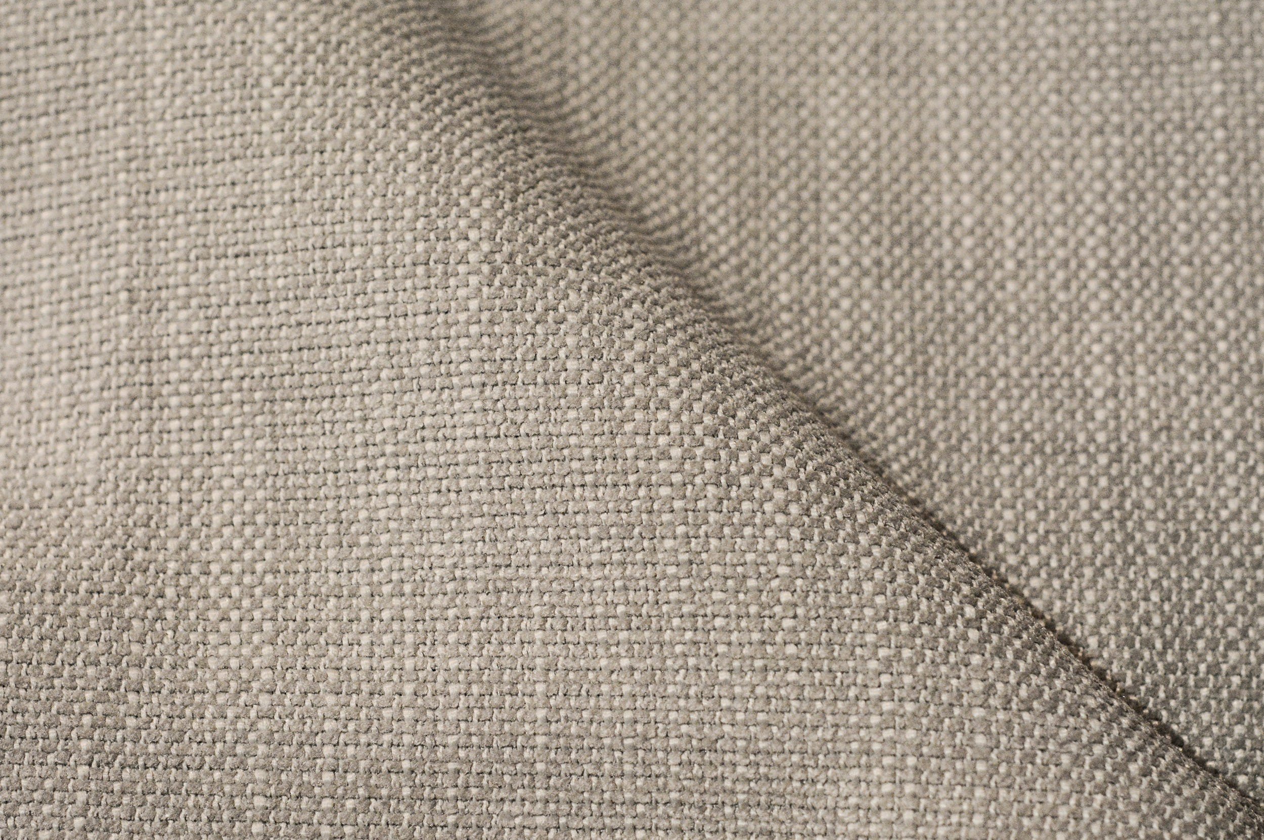 PICCADILLY PICCADILLY 629 TROUTE