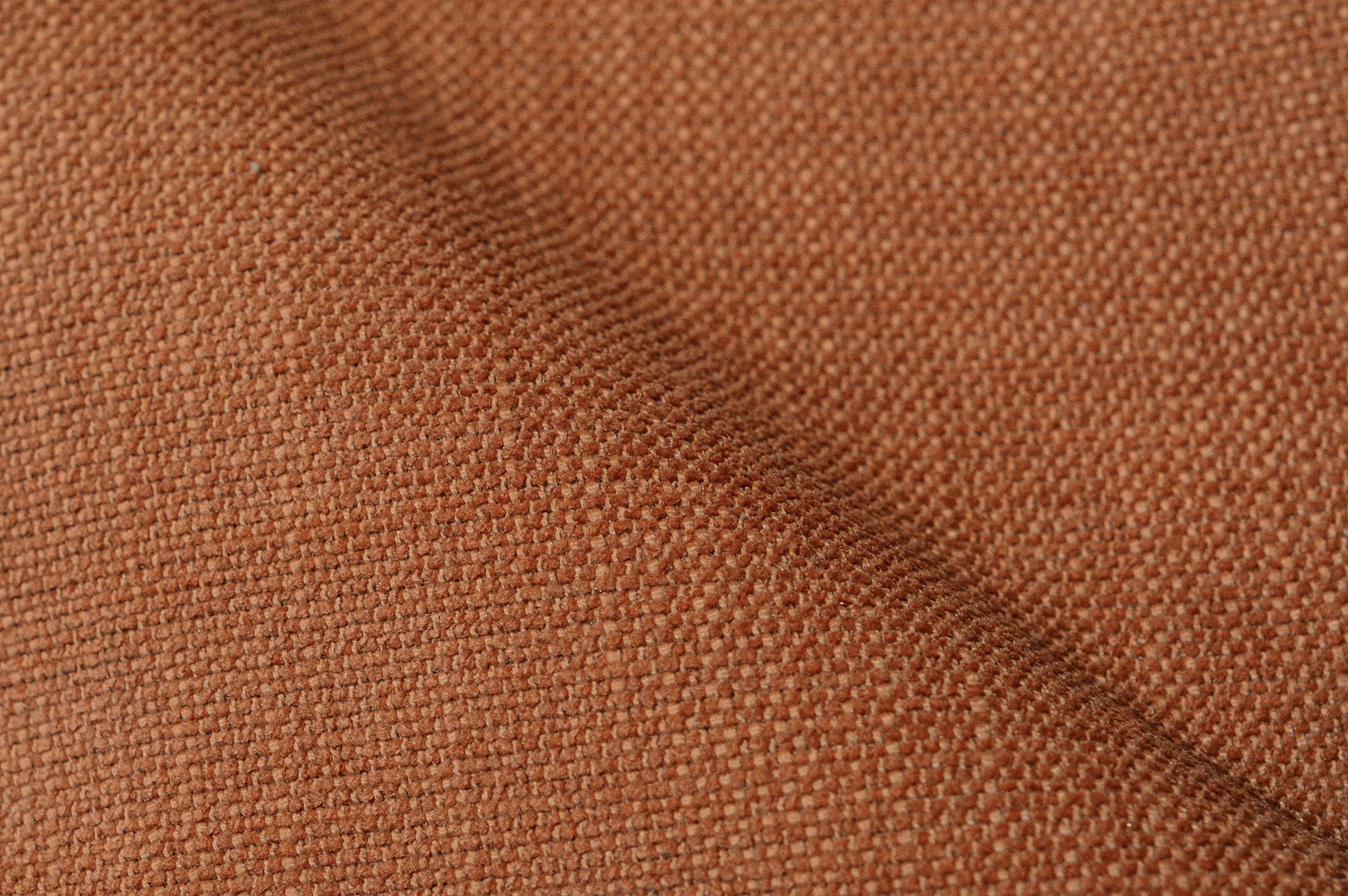 PICCADILLY PICCADILLY 646 CARROT