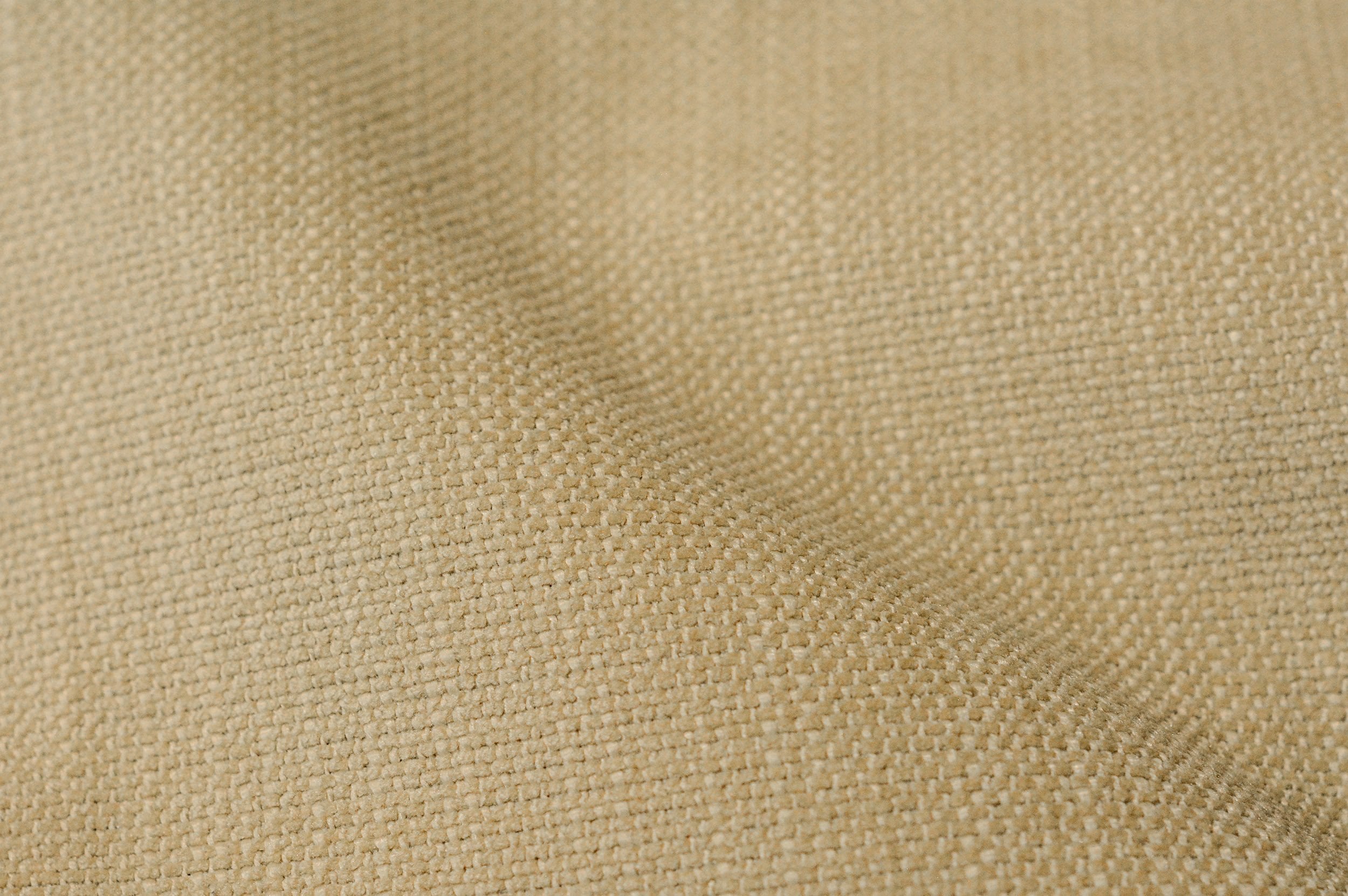 PICCADILLY PICCADILLY 621 BUTTER MILK