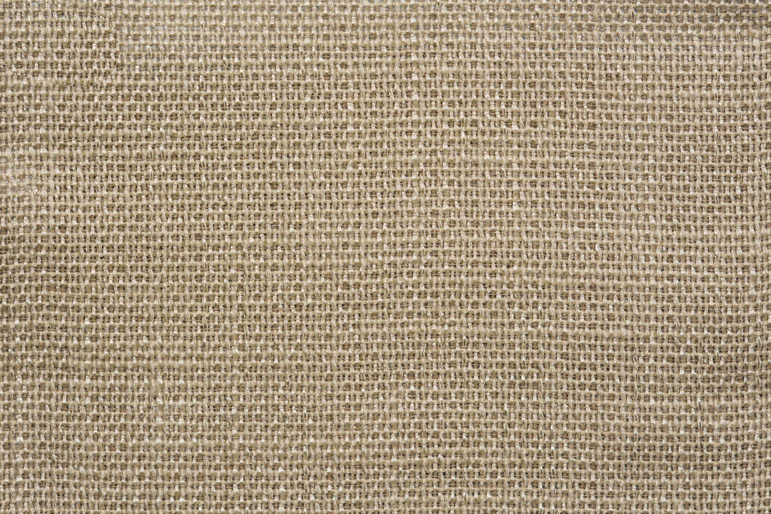 PINO PINO 05