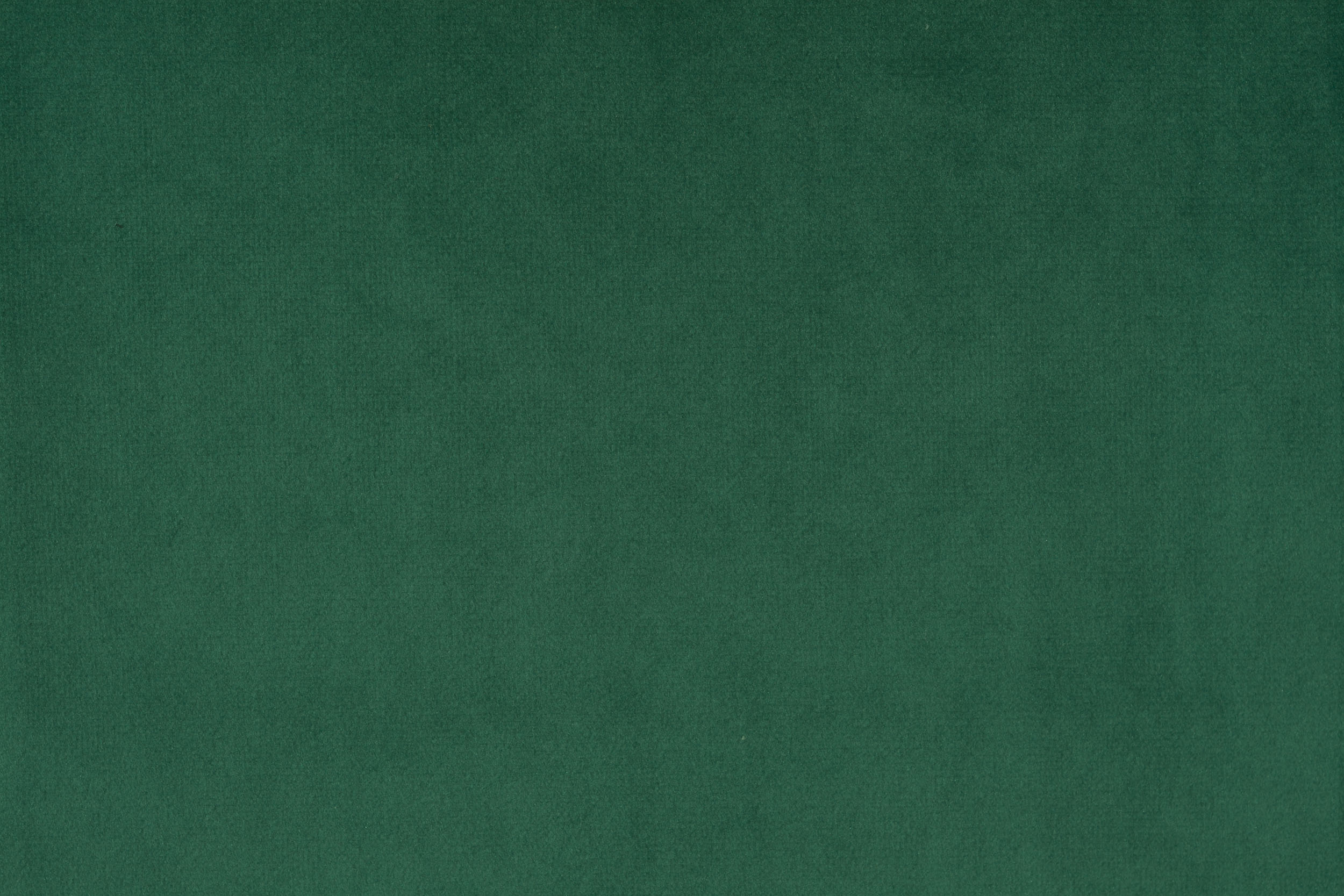 FLORENCE FLORENCE 28