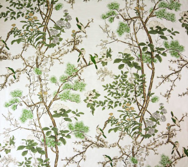 РАЙСКИЙ ЗЕЛЕНЫЙ