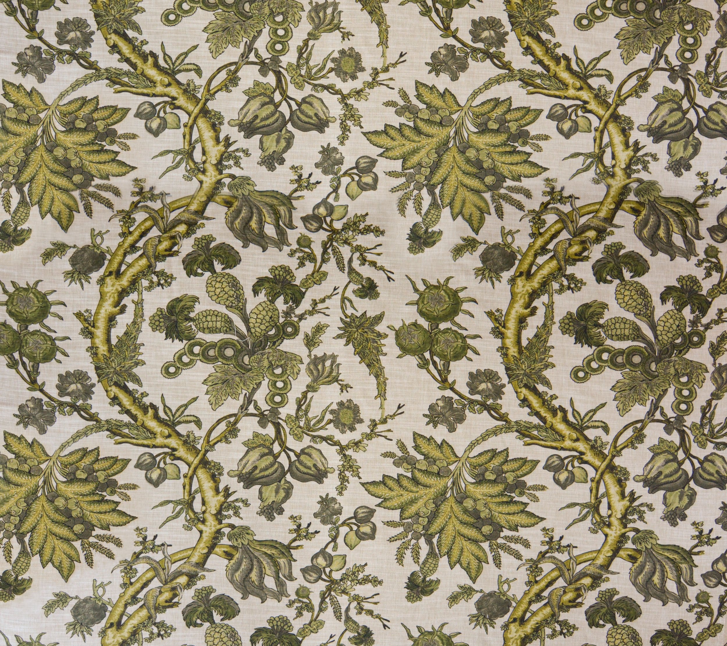 FORESTA FORESTA GREEN