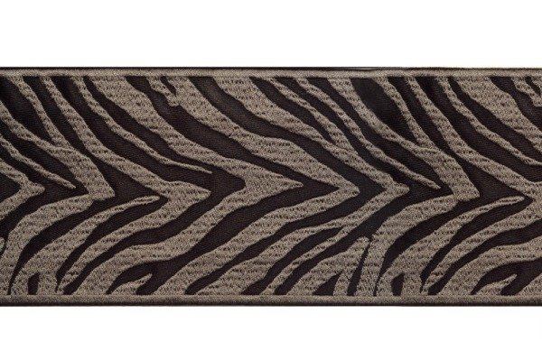 ZEBRA 1