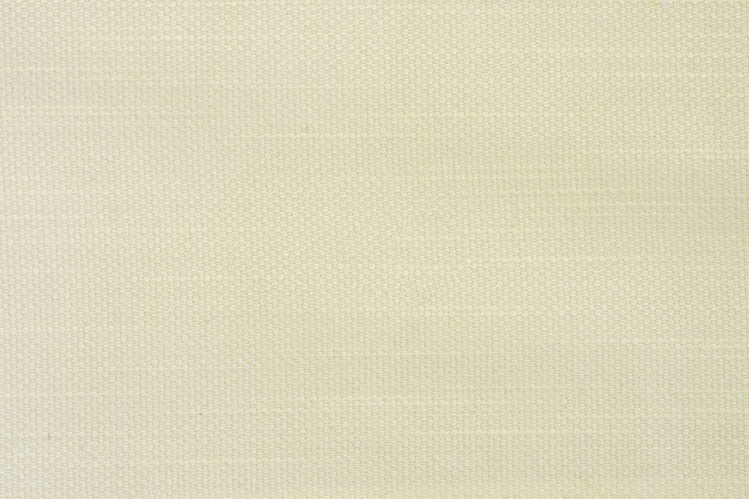 PLAIN PLAIN CREAM