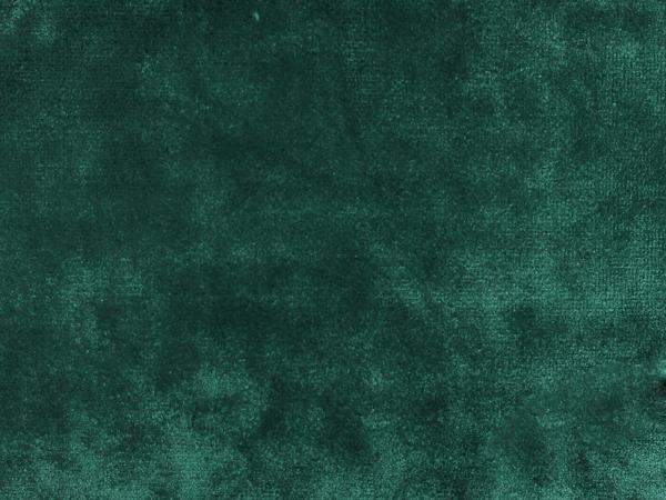 СЕНИБ ФОРЕСТА