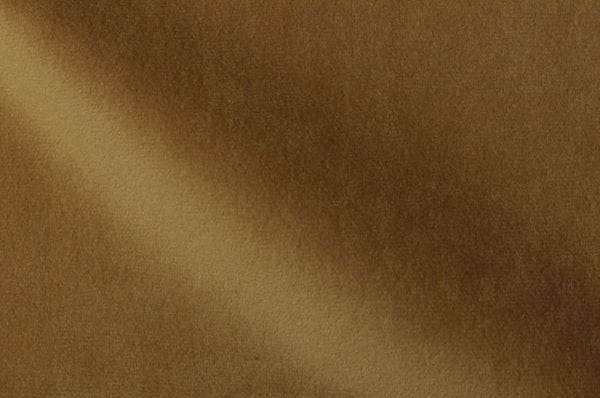 DG 24 MUSTARD
