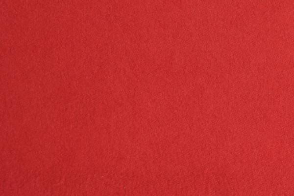 MICROVIN-N 160 SALMON-1