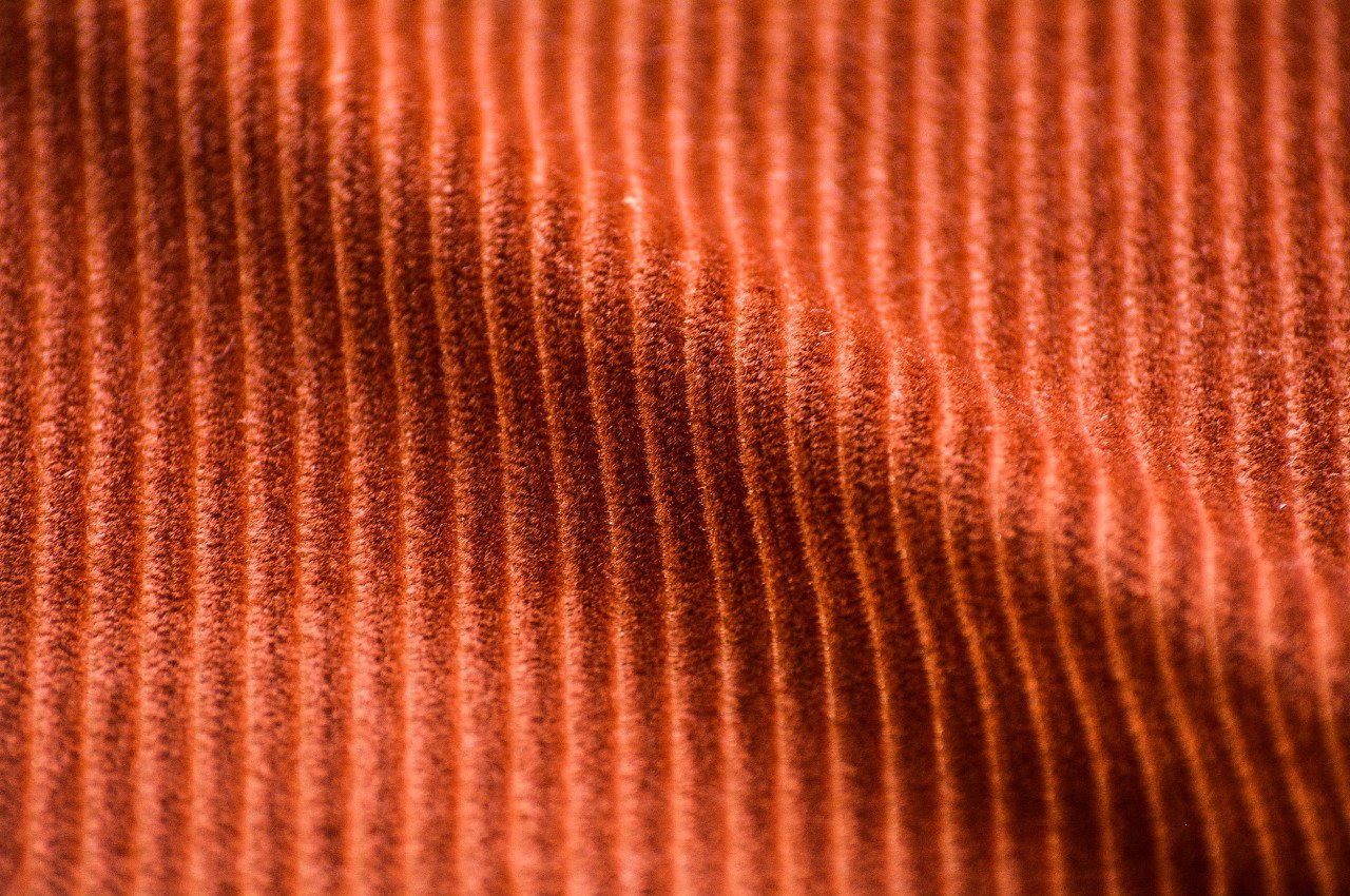 MADURA VELVET MADURA VELVET 3649