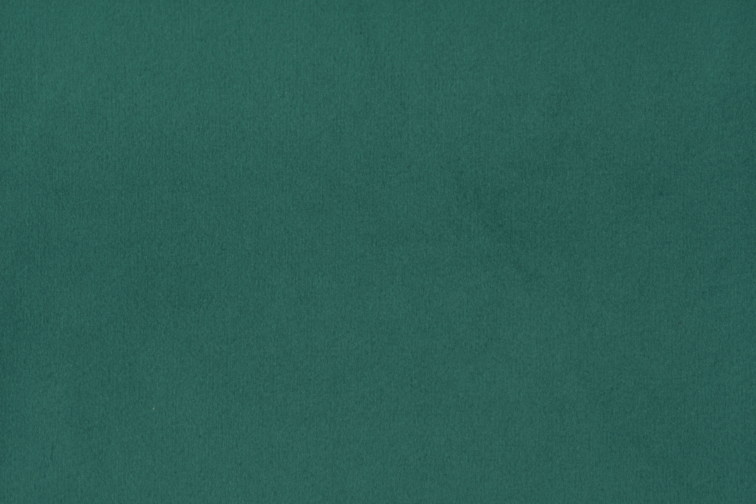 FLORENCE FLORENCE 29