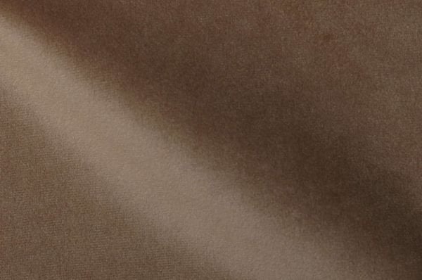DG 20 SESAME