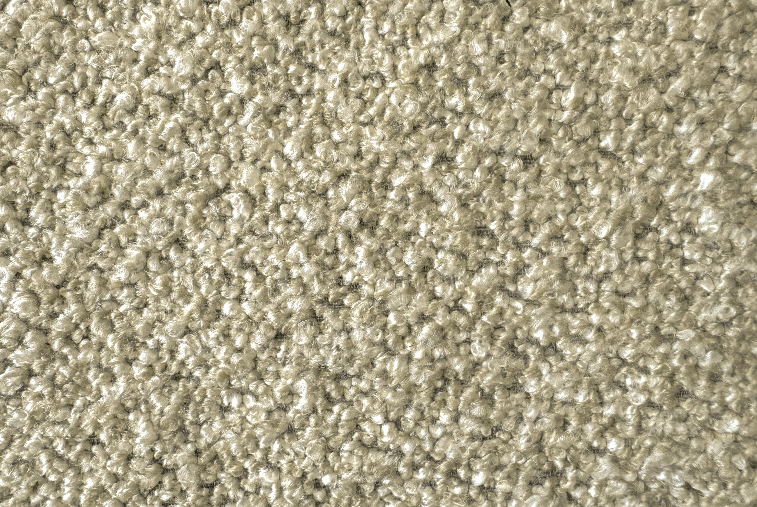 FOCUS Focus 1260