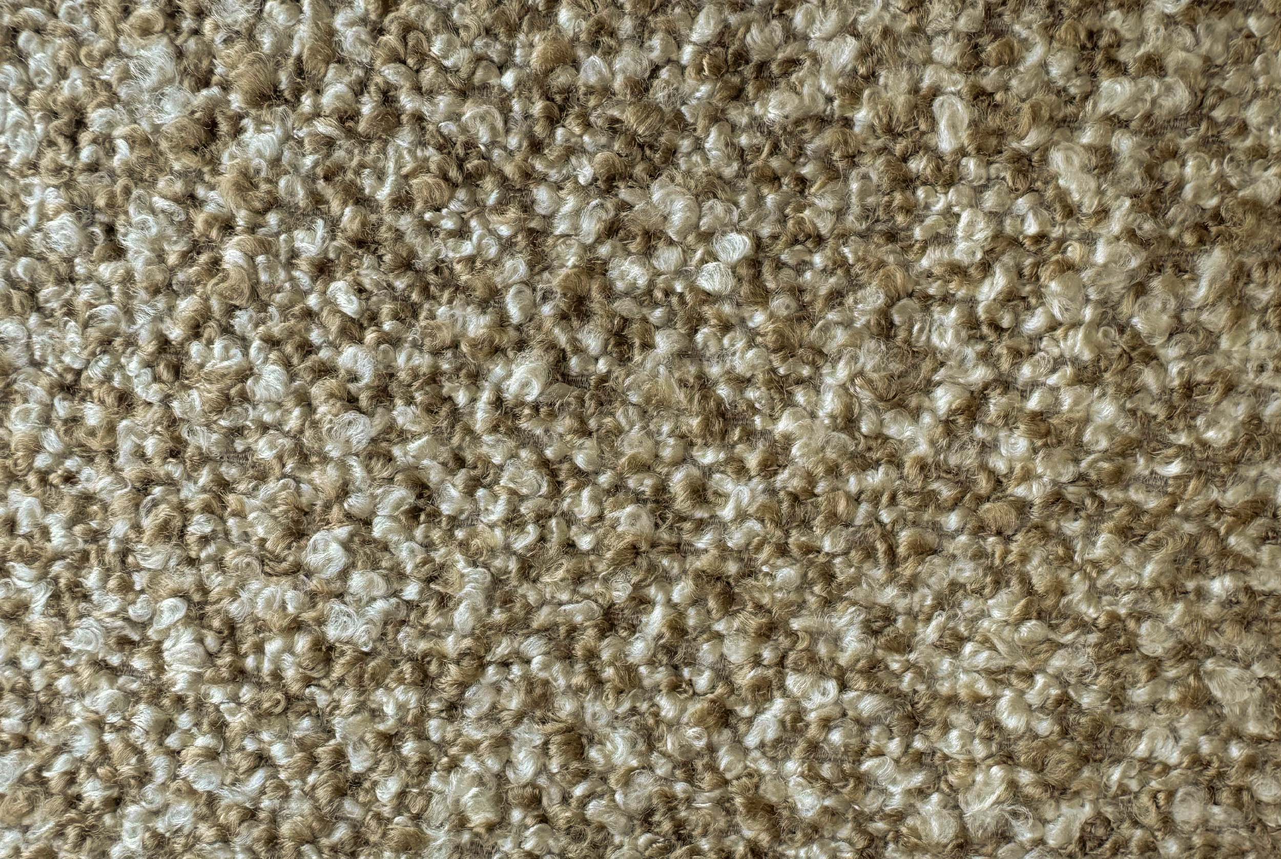 FOCUS Focus 1262