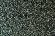 Focus 3065