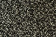 Focus 6034
