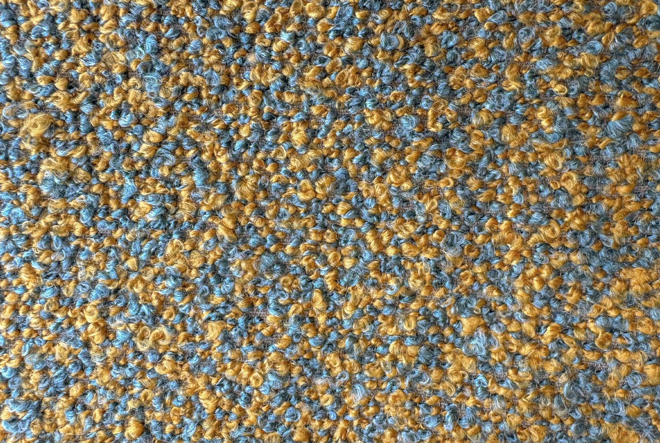 FOCUS Focus 6629