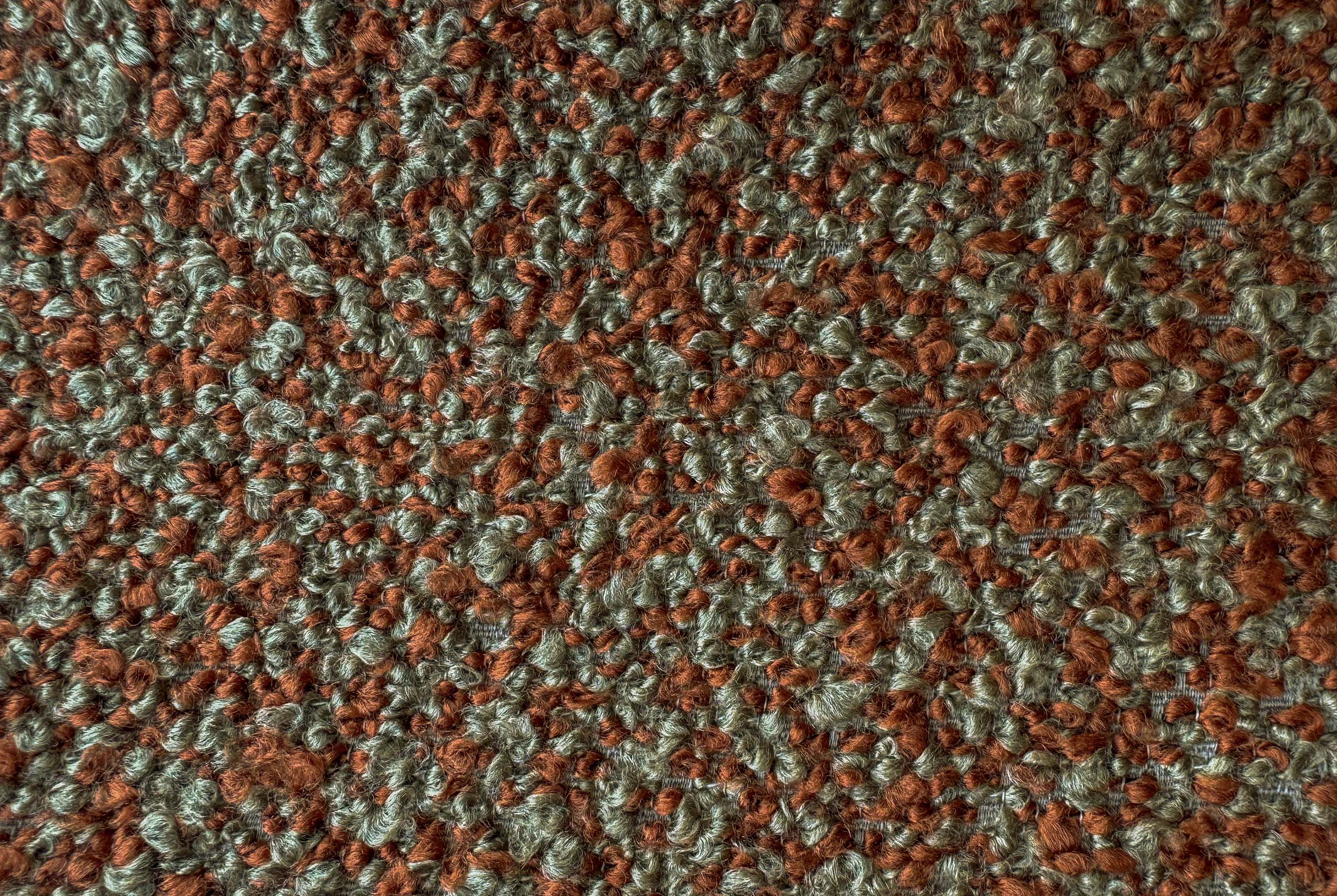 FOCUS Focus 5862