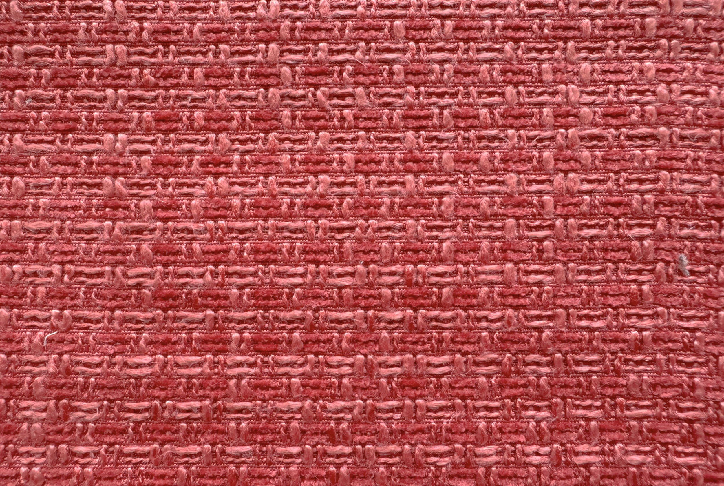PALEO paleo 4207