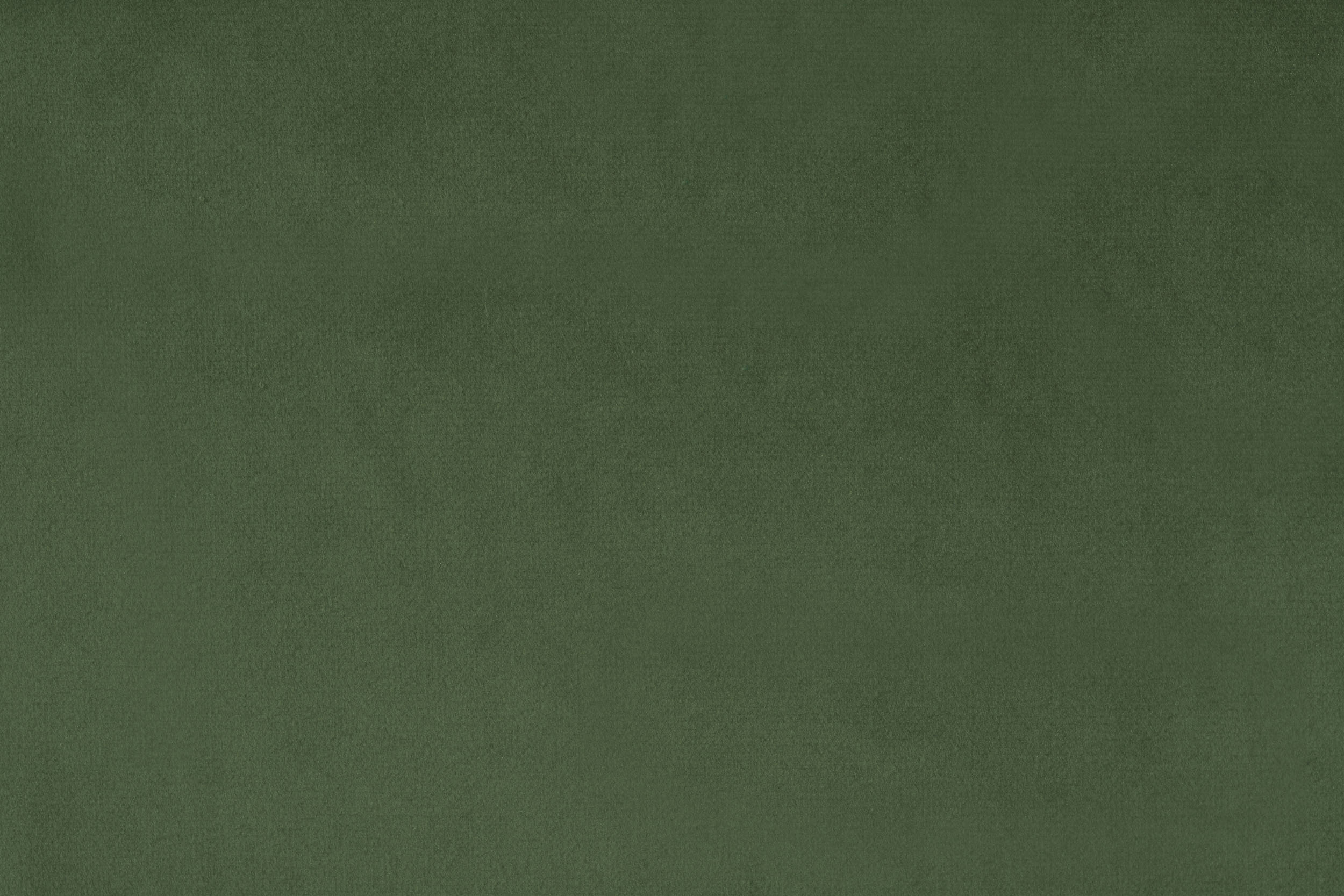 FLORENCE FLORENCE 13