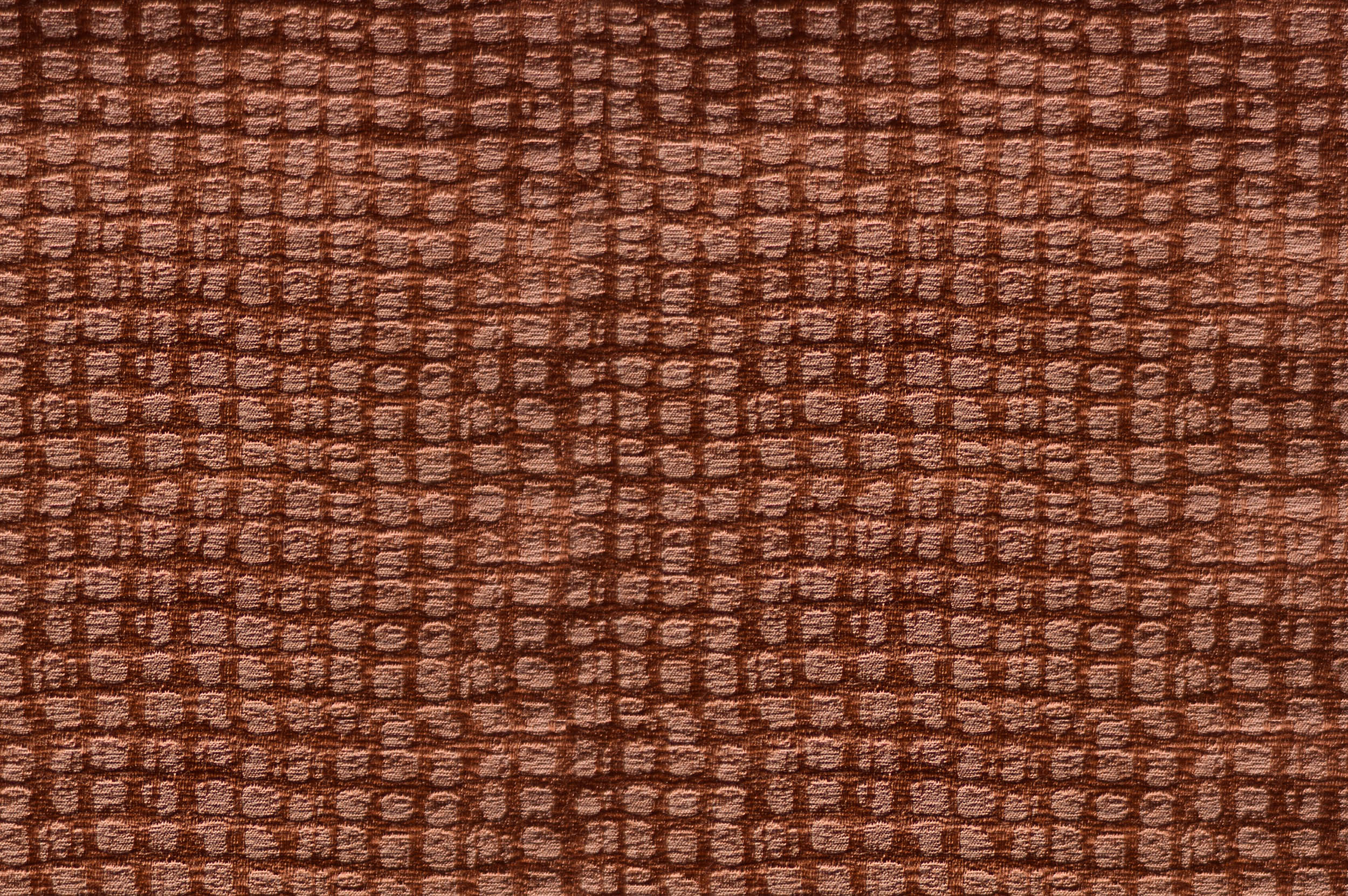 VENÜS VENÜS 2858