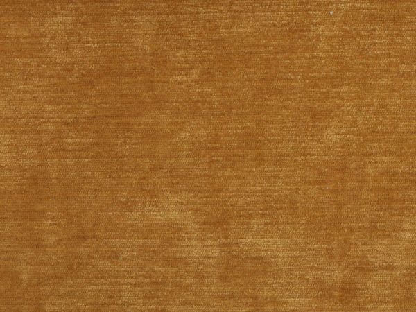 CAMIA 10087/01