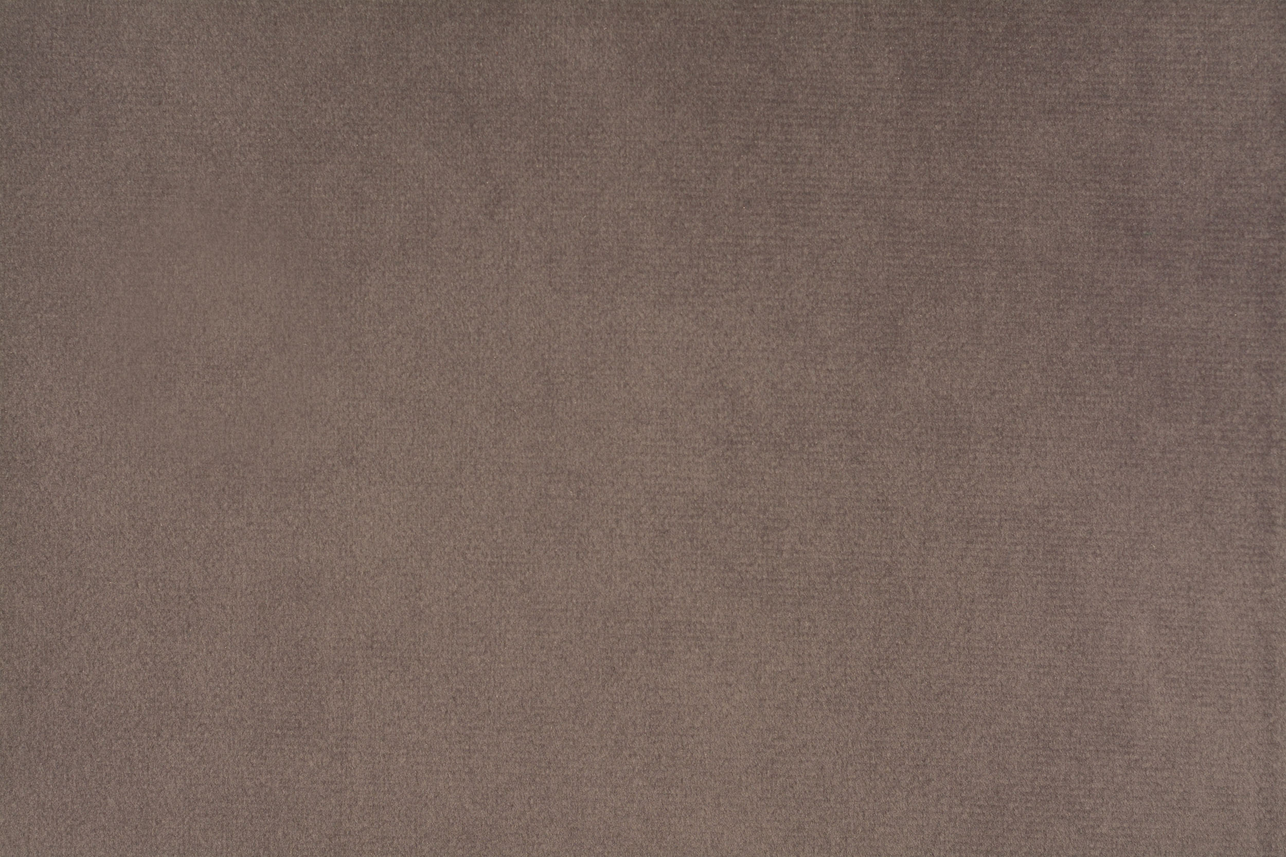 FLORENCE FLORENCE 25